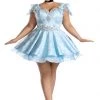 Party King Plus Size Lost Slipper Princess Costume -Sexy Halloween Costumes Sales unnamed file 114