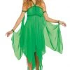 Dreamgirl Earth Goddess Costume -Sexy Halloween Costumes Sales unnamed file 1173