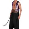 Dreamgirl Arabian Prince Costume