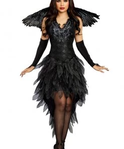 Dreamgirl Angel Of Darkness Costume